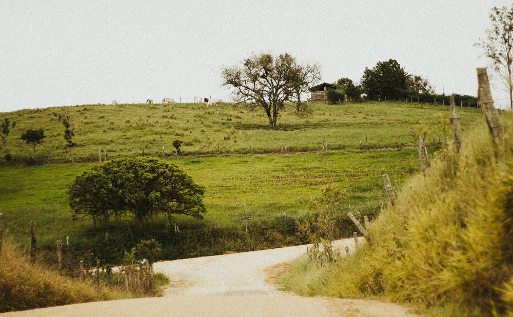 Why Your GMRS Repeater Fails in Rural Areas？