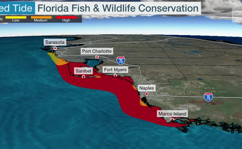 Local weather in naples florida