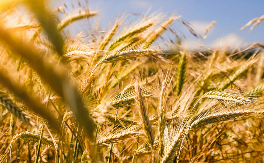 The Advantages of a 25Watt Repeater for Large Farms and Agricultural Operations