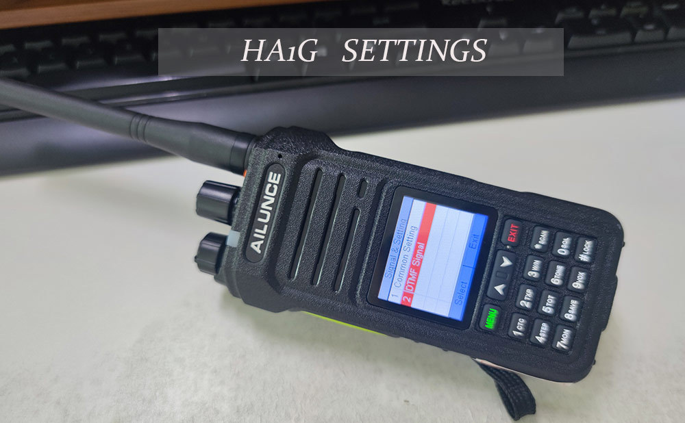 HA1G DTMF other function settings