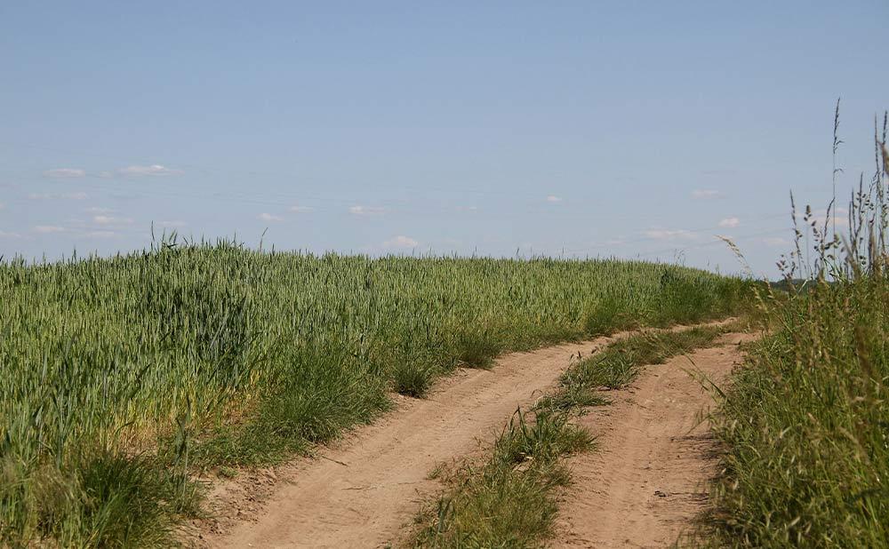 DMR 2 Way Radio for Farmers: Reliable Communication in Rural Areas