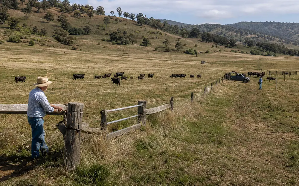 Ranch & Livestock Communication Solutions