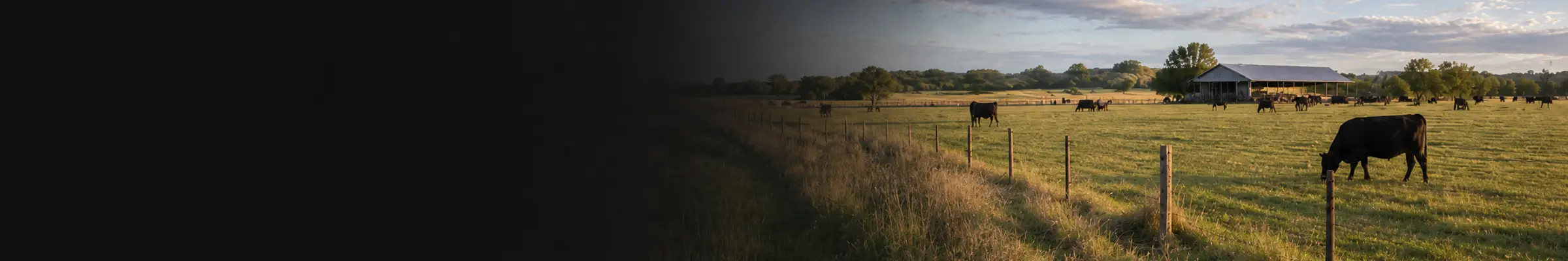 Livestock Ranch Communication Solutions