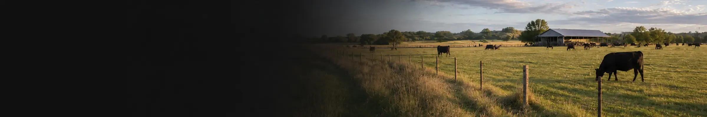 Livestock Ranch Communication Solutions