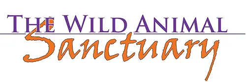 Retevis Helps The Wild Animal Sanctuary Maintain Communication Across 40,000-Acre Area